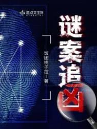 谜案追凶电视剧免费观看